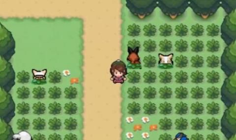 图片[1]-骨之王者 Build.20731153（King of Bones）免安装英文版-测试