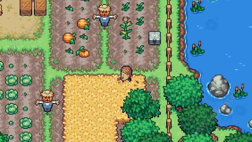 图片[1]-骨之王者 Build.20731153（King of Bones）免安装英文版-测试