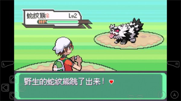 图片[1]-骨之王者 Build.20731153（King of Bones）免安装英文版-测试