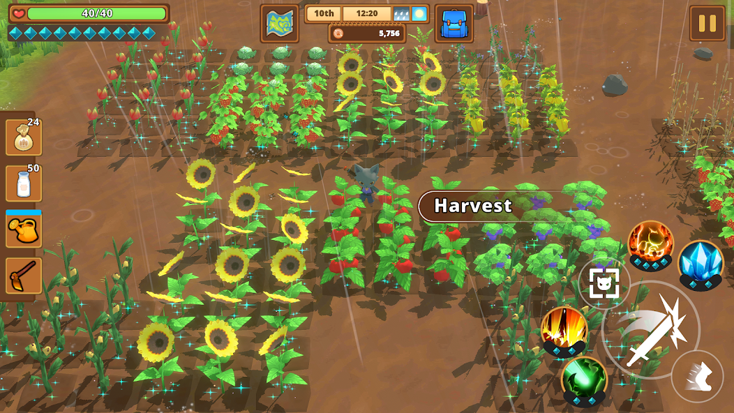 图片[1]-骨之王者 Build.20731153（King of Bones）免安装英文版-测试