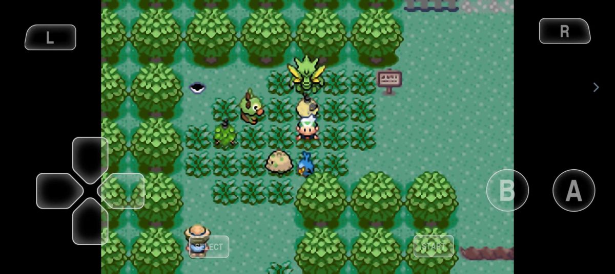 图片[1]-骨之王者 Build.20731153（King of Bones）免安装英文版-测试