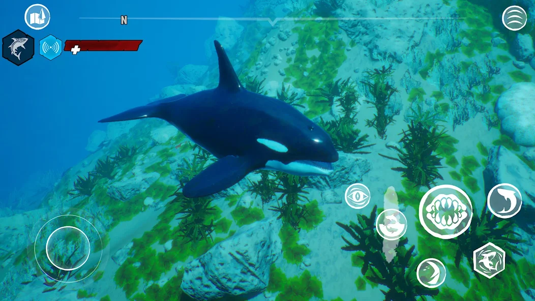 图片[1]-骨之王者 Build.20731153（King of Bones）免安装英文版-测试