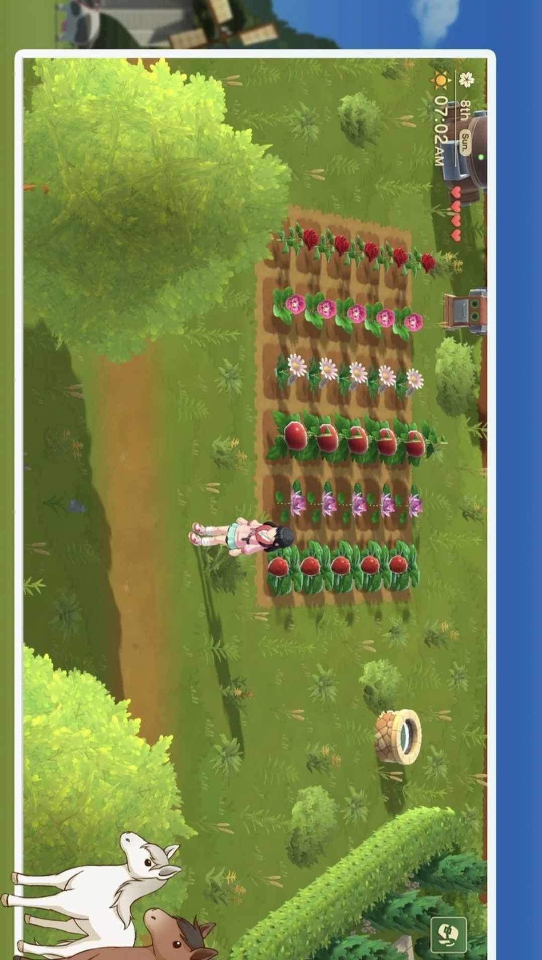 图片[1]-骨之王者 Build.20731153（King of Bones）免安装英文版-测试