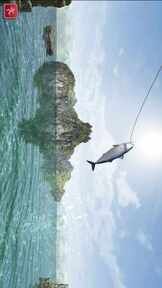 图片[1]-骨之王者 Build.20731153（King of Bones）免安装英文版-测试