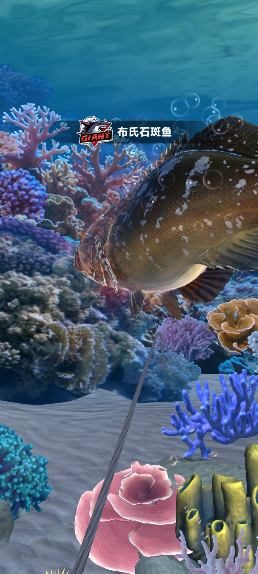 图片[1]-骨之王者 Build.20731153（King of Bones）免安装英文版-测试