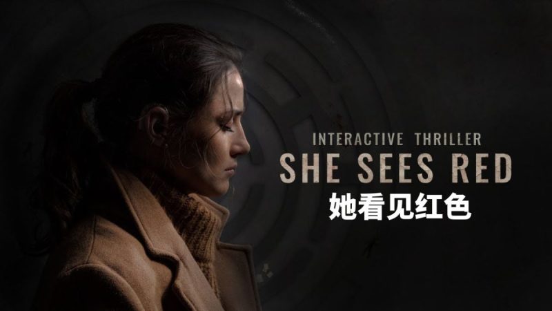 她看见红色v1.73[完整版]Steam移植-梨子乐手游